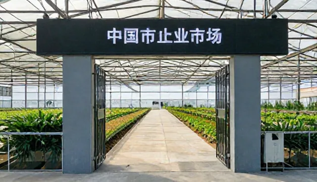 商机对接效率不足，如何选择合适发布入口